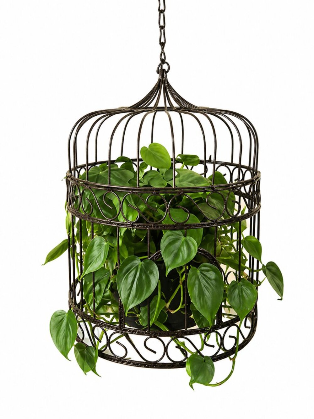 Vintage Style Hanging Metal Birdcage Decor โ Lightweight, Ornate Scrollwork